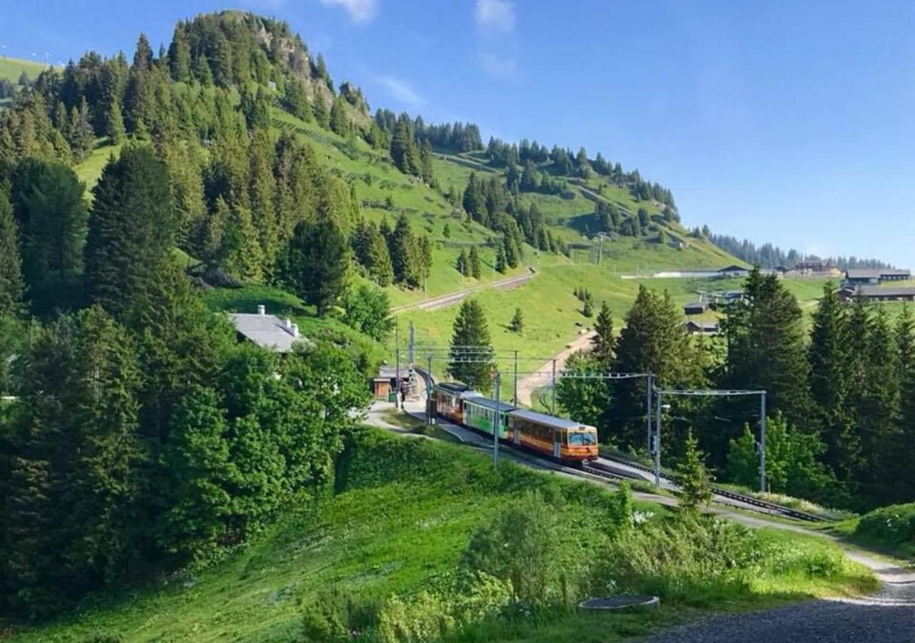 Maison De Montagne De Bretaye Acces Par Le Train Arret Bouquetin Villars-sur-Ollon Eksteriør billede